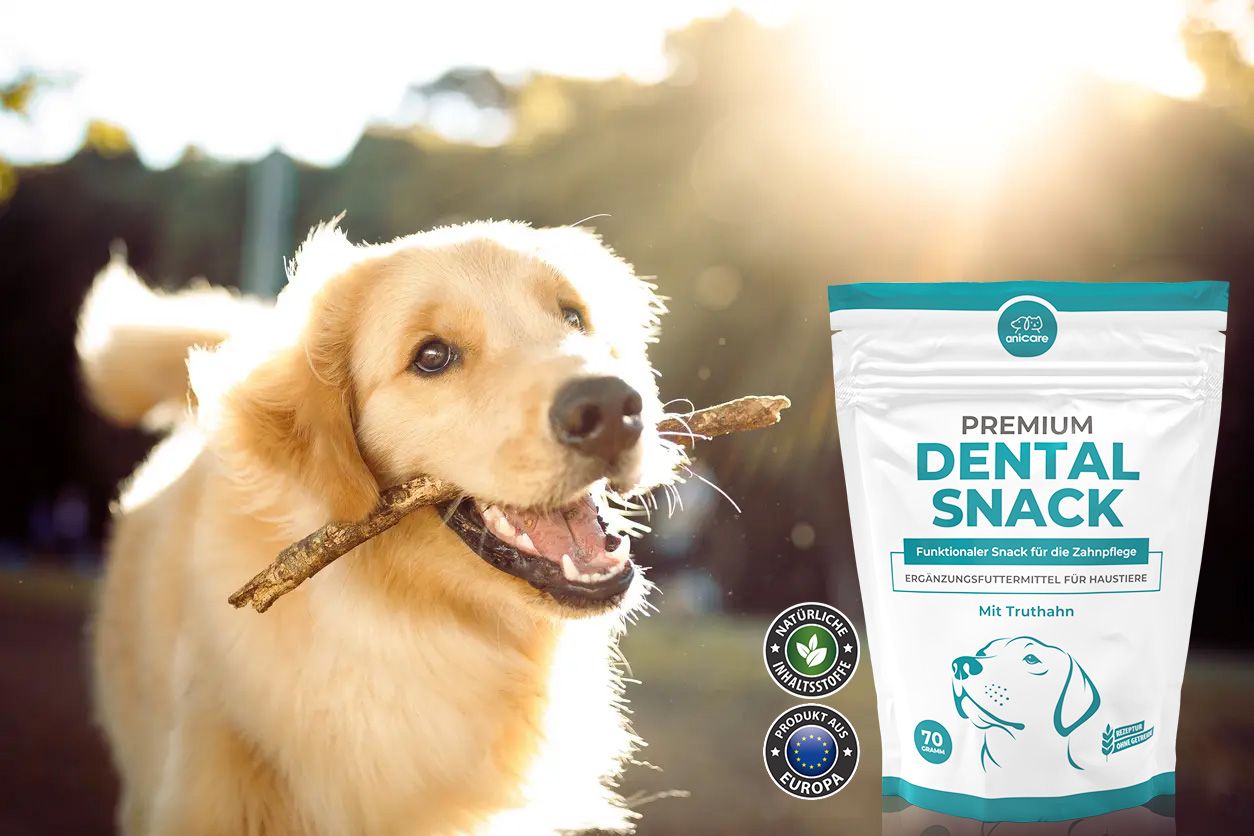 Il cane con il bastone in bocca accanto a lui è una confezione di Premium Dental Snack di Anicare. - Anicare Dental Snack