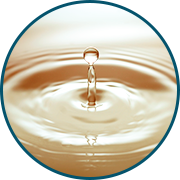 LexFeel Shine - premium Natural Itch Control Conditioner