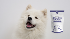 cani con Premium Calming Snack