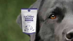 Premium Calming Snack con cani