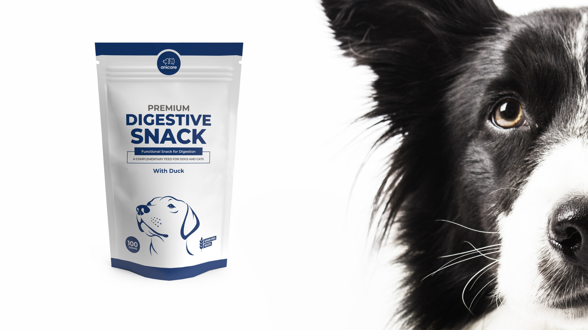 Elevato contenuto di carne per un sistema digestivo equilibrato - Premium Digestive Snack