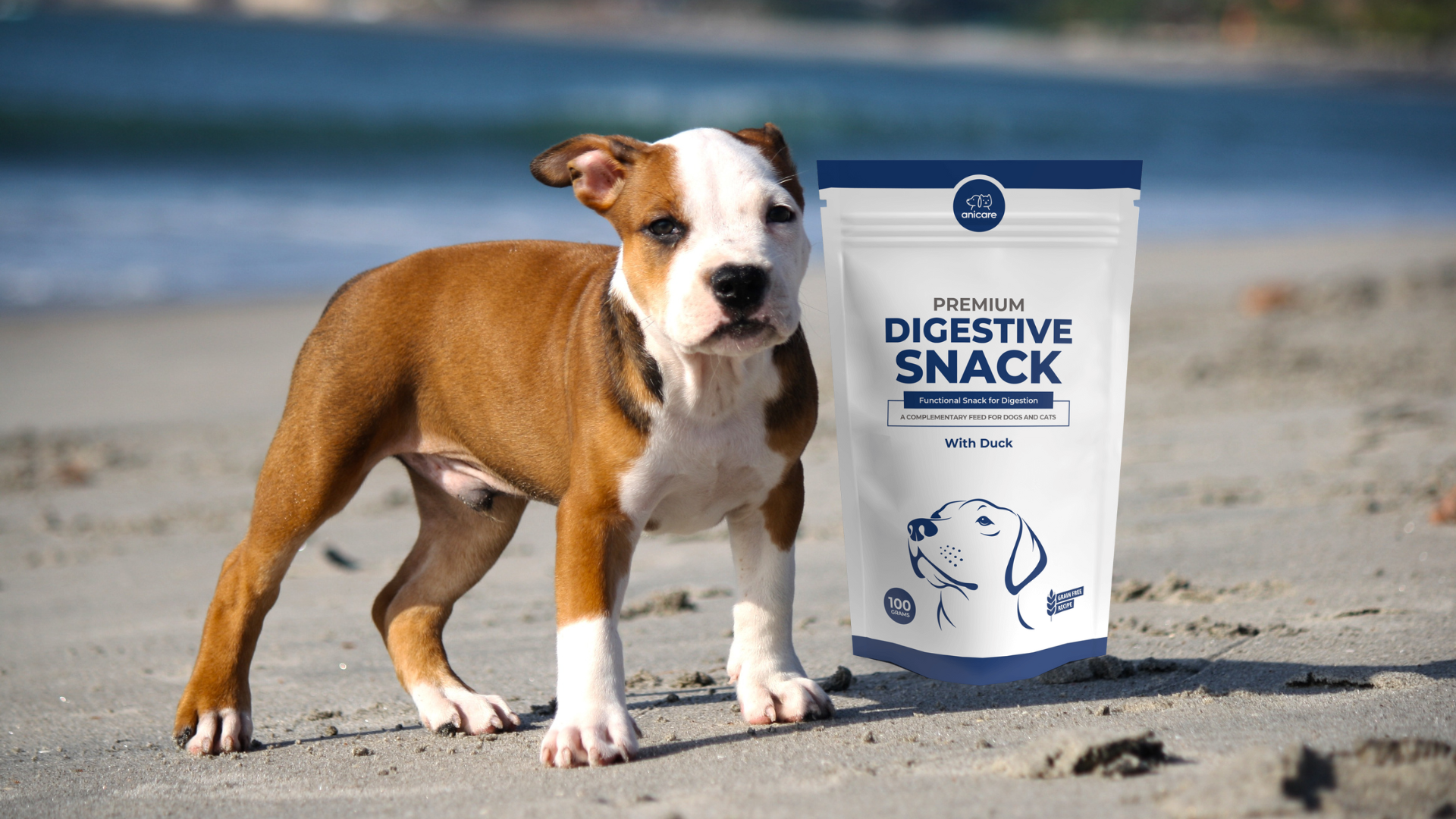 Lo stomaco e l'intestino come centro di salute sensibile - Premium Digestive Snack