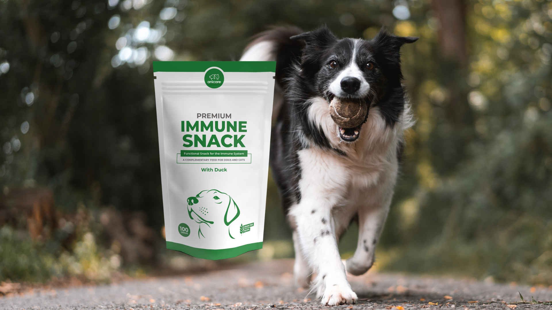 Un cane con una palla in bocca cammina lungo un sentiero nella foresta e accanto a lui c'è una confezione di Premium Immune Snack di Anicare.