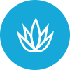 Biotina
