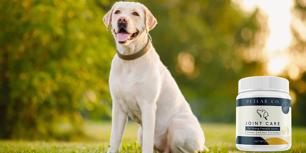 Petlab Co Joint Care - Golden Retriever