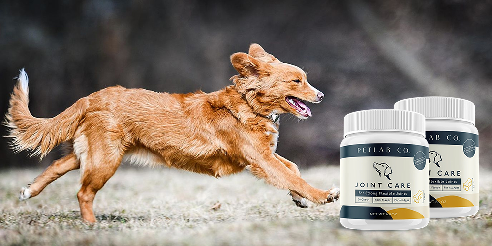 Petlab Co Joint Care