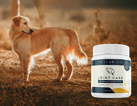 Petlab Co Joint Care