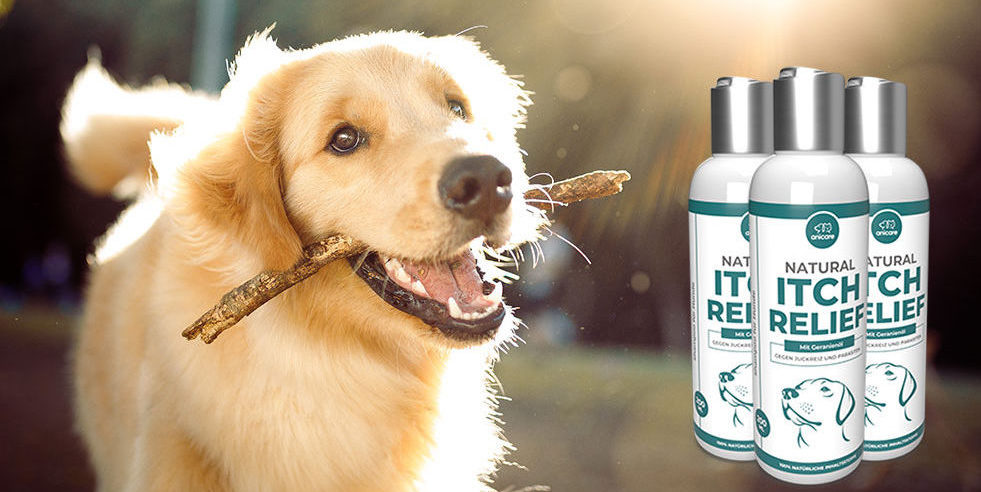 cane con bastone - Natural Itch Relief Shampoo